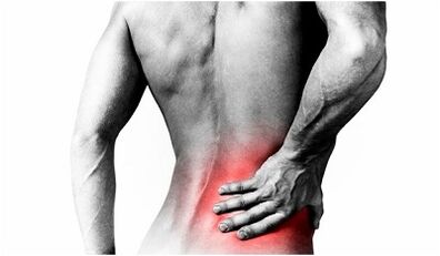 The causes of back pain at the lower back